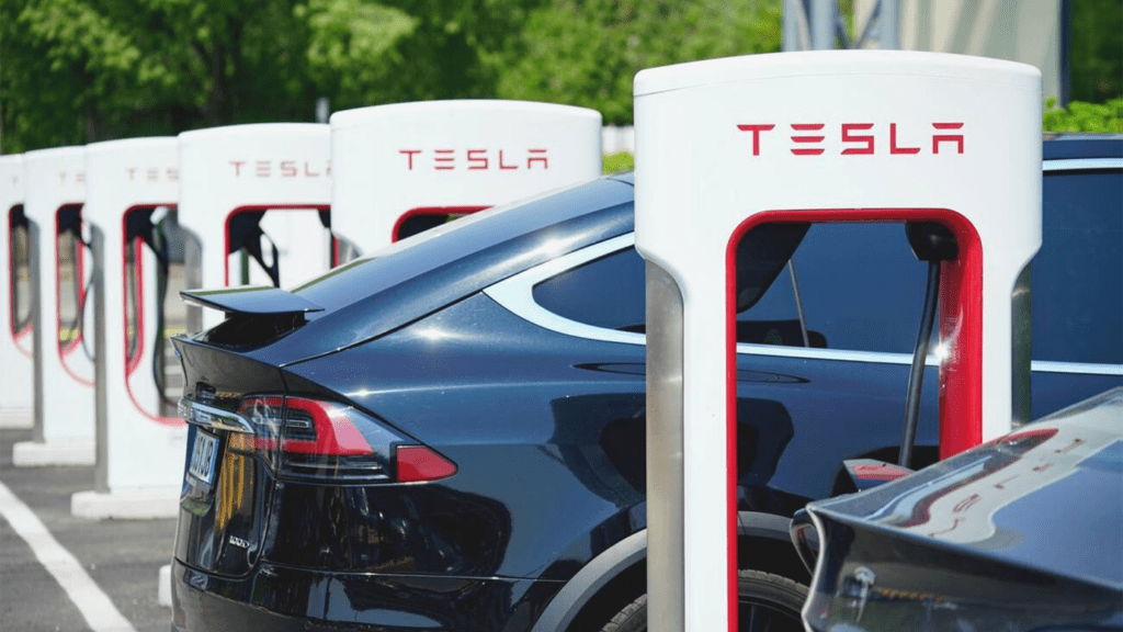 Tesla stakes tumbled over 12% after the deliveries report - The Women ...
